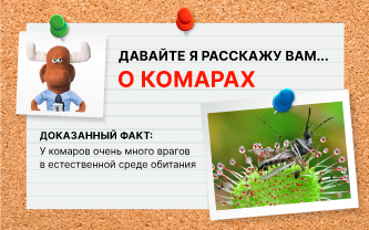 Природные враги комаров Природные враги комаров